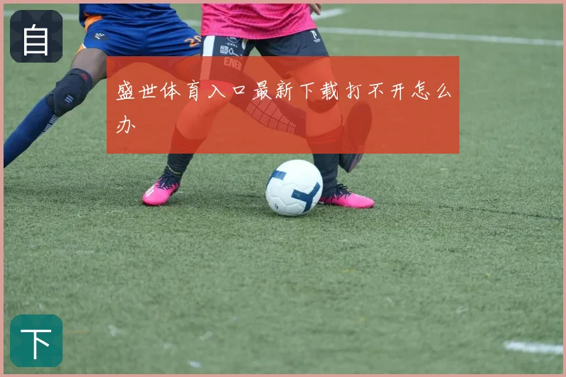 盛世体育入口最新下载打不开怎么办