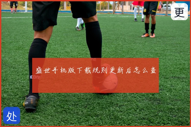 盛世手机版下载规则更新后怎么查
